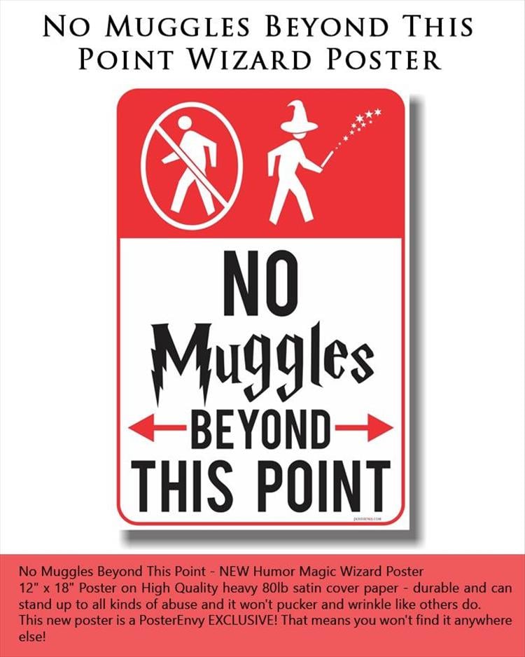 No Muggles Beyond This Point Wizard Poster