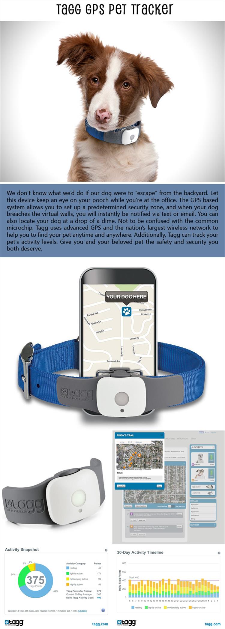 Tagg GPS Pet Tracker