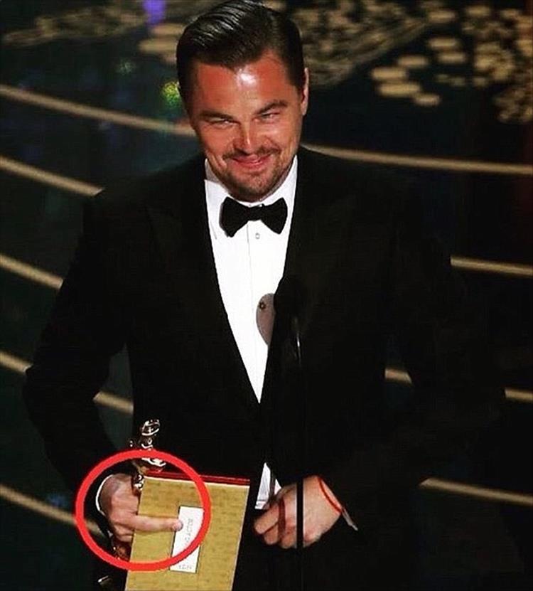 Leonardo's oscar meme (14)