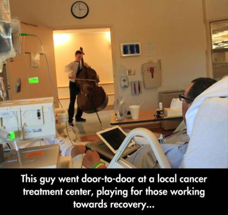 faith in humanity restored (8)