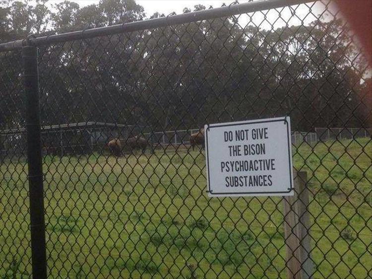 funny signs (4)