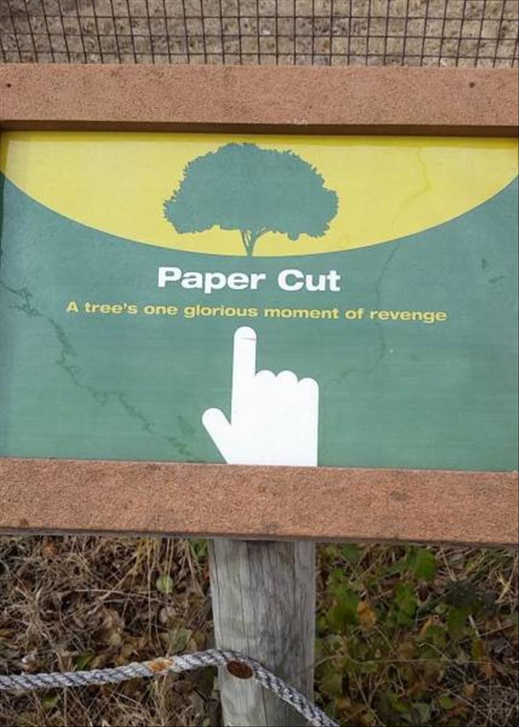 funny signs (9)