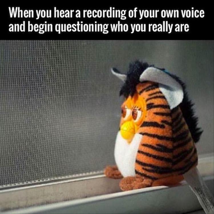 hear-your-own-voice