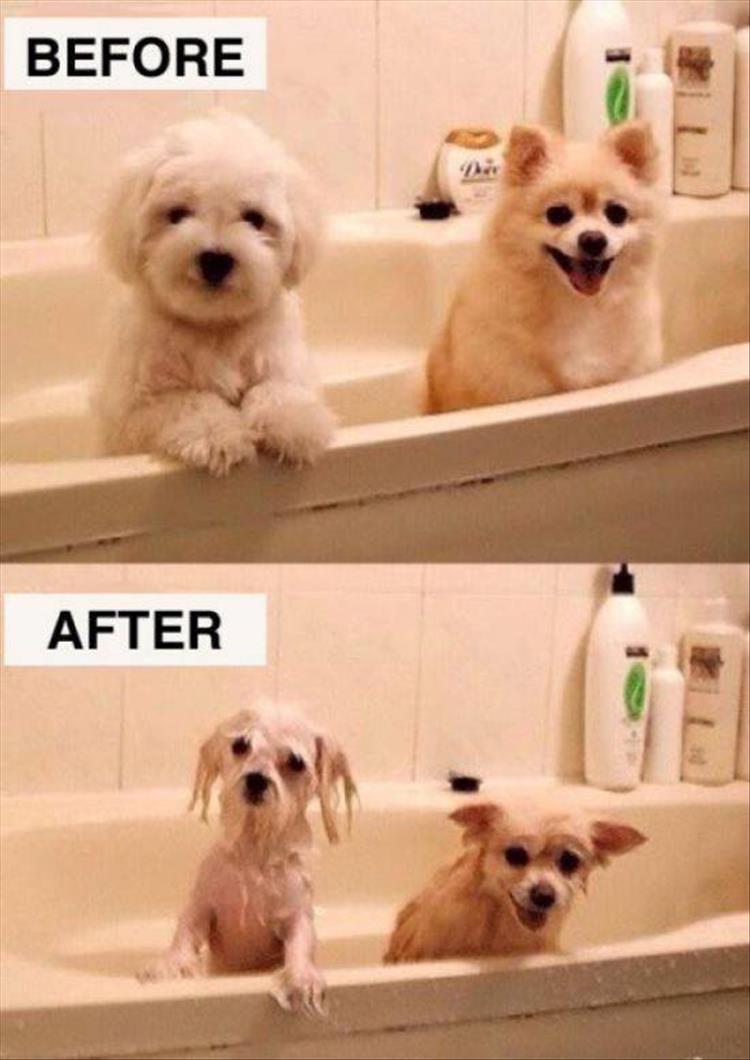 before and after (8)