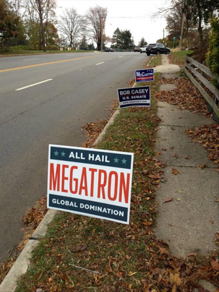 funny voting signs (2)