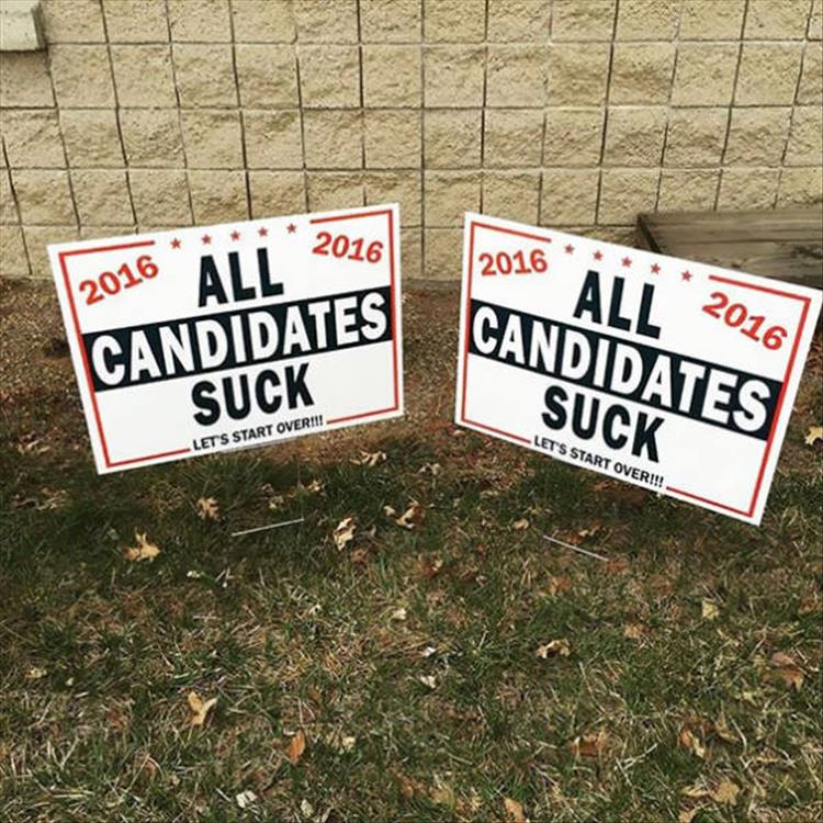 funny voting signs (3)