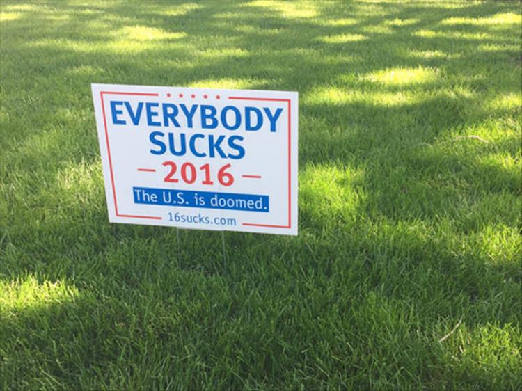 funny voting signs (4)
