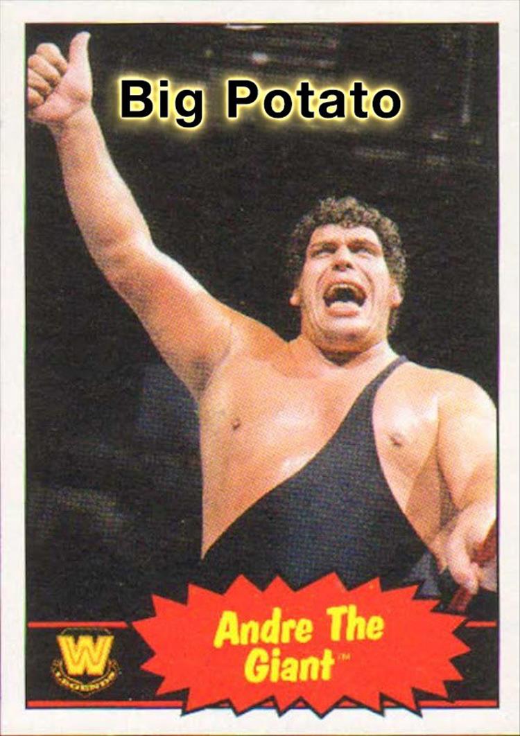 funny wrestler names (3)