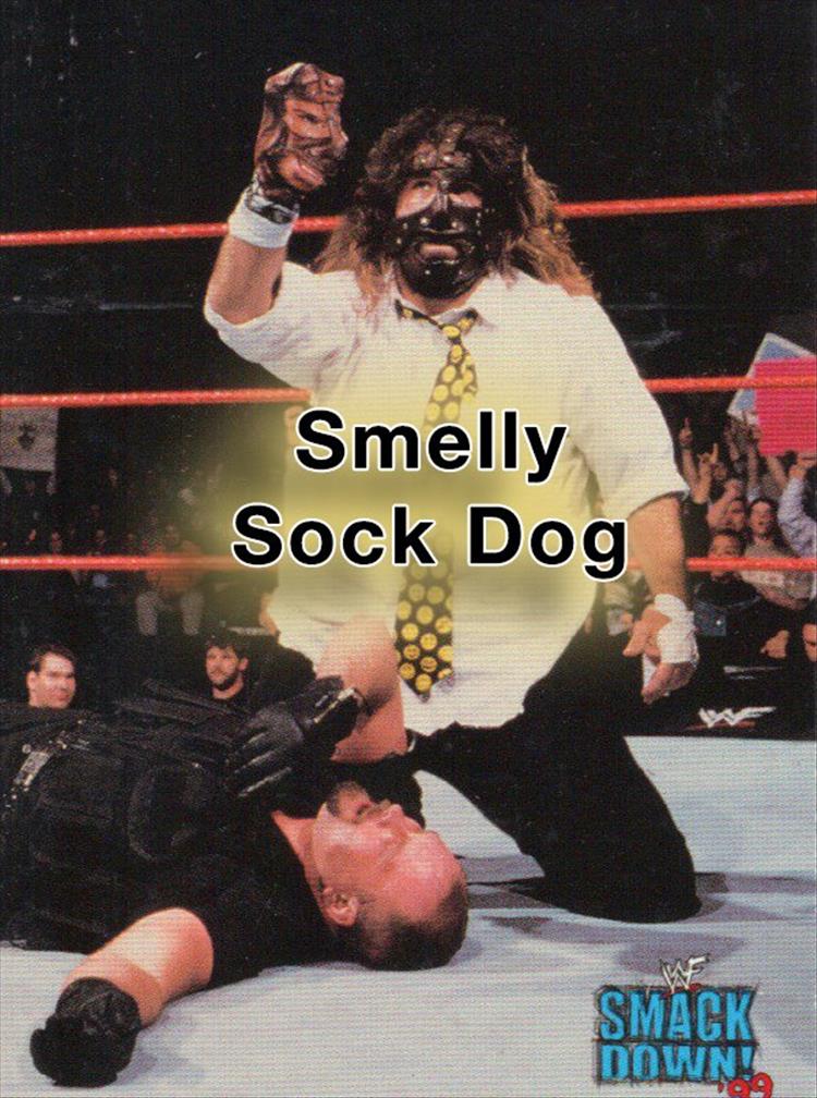 funny wrestler names (5)