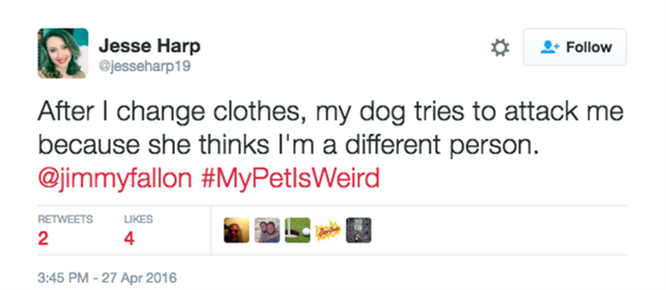 pets are weird (8)
