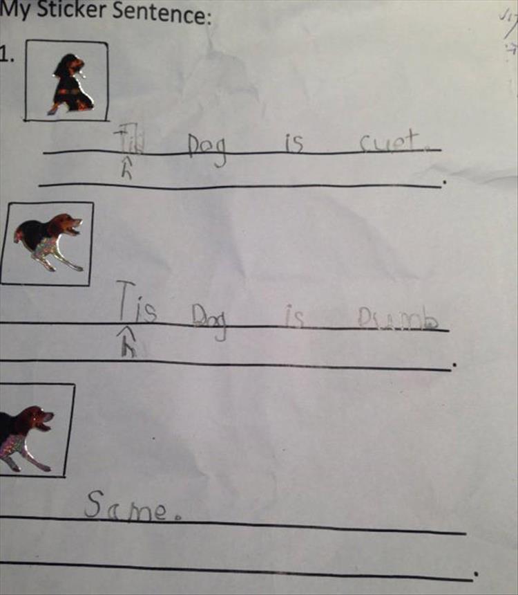 funny kid homework (19)