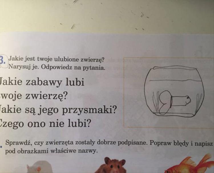 funny kid homework (25)