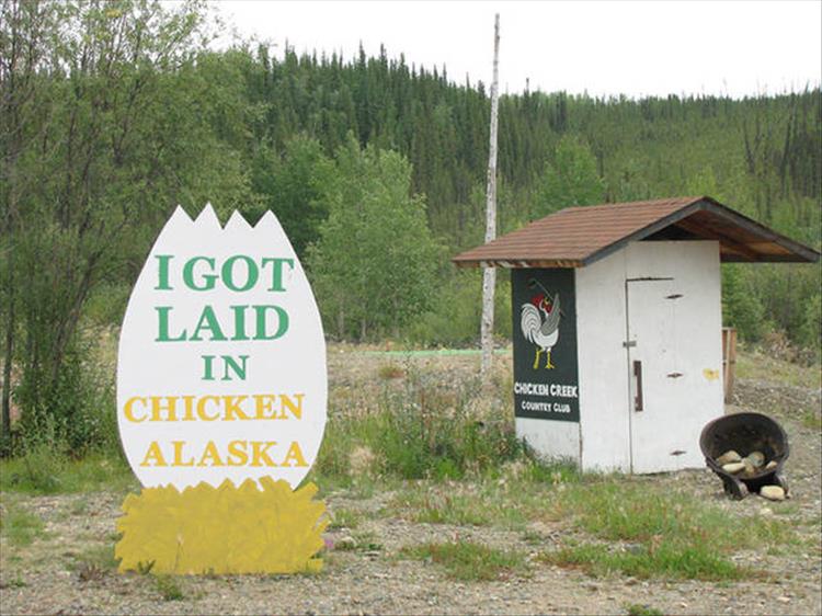 1 I got laid in chicken alaska