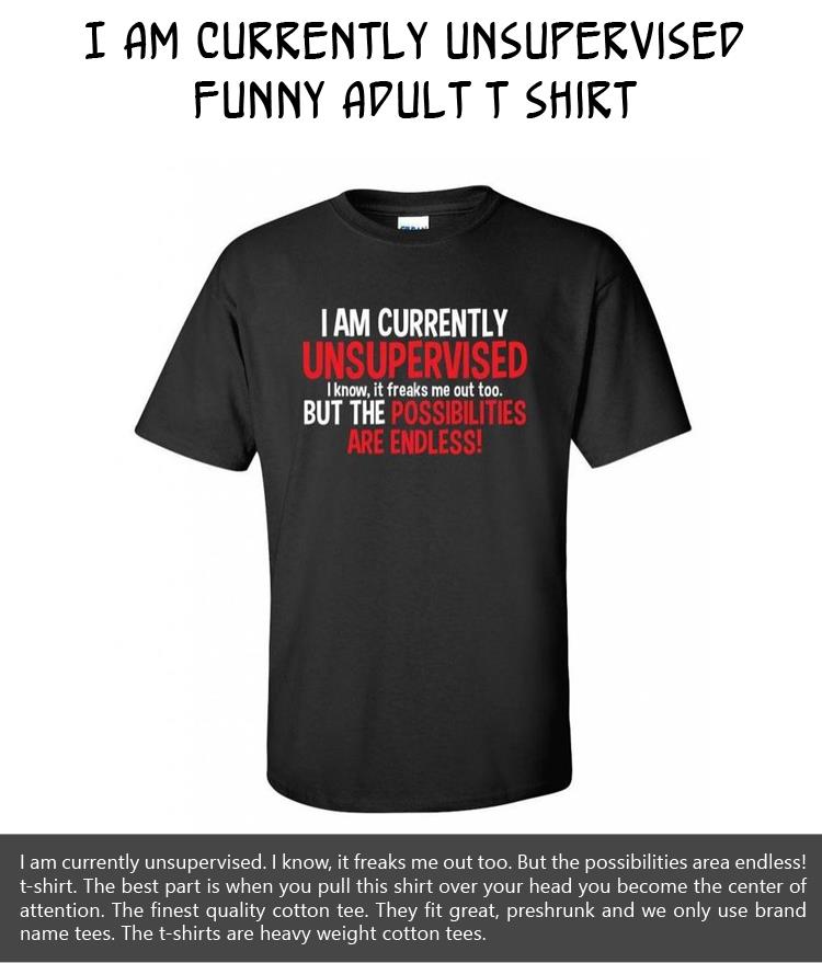 I Am Currently Unsupervised funny adult T Shirt