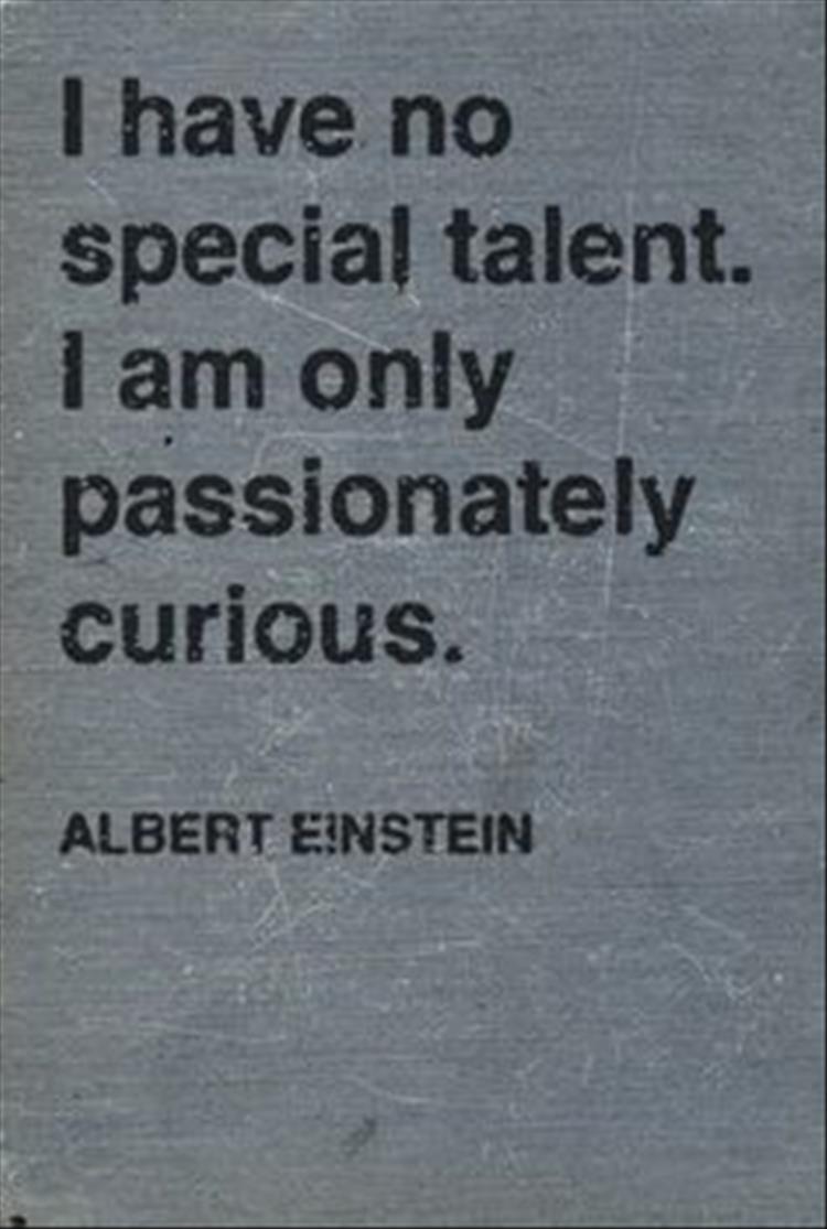 I have no special talents, I'm only passionetly curious