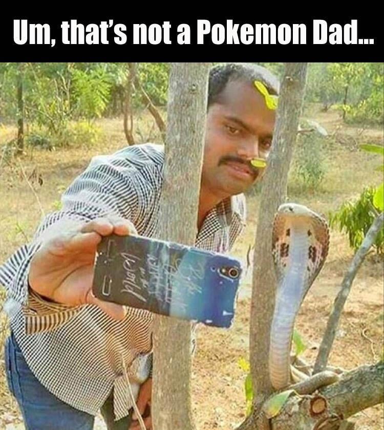 d when you try to take a screen shot of a pokemon