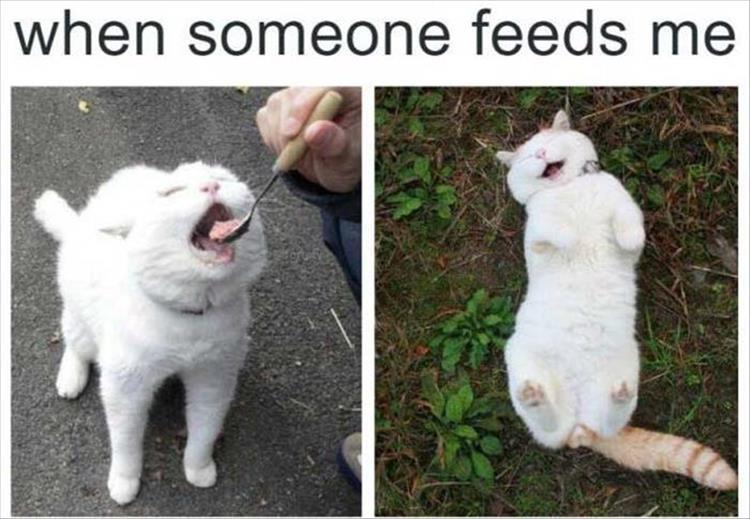 feed me