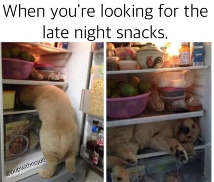 looking for late night snacks