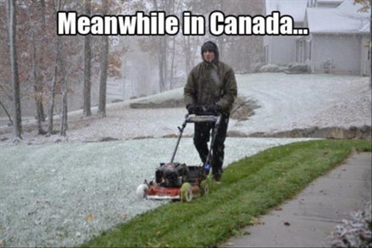 meanwhile in canada