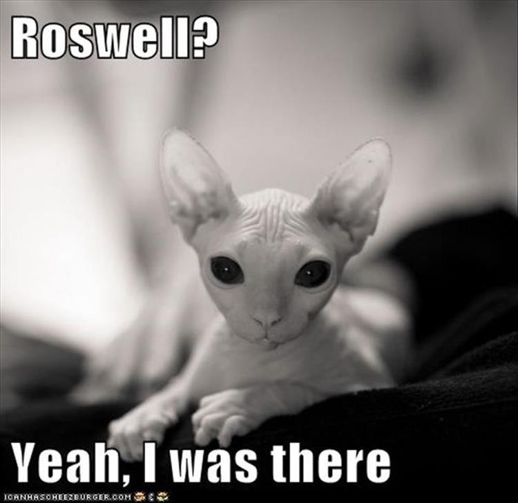 roswell