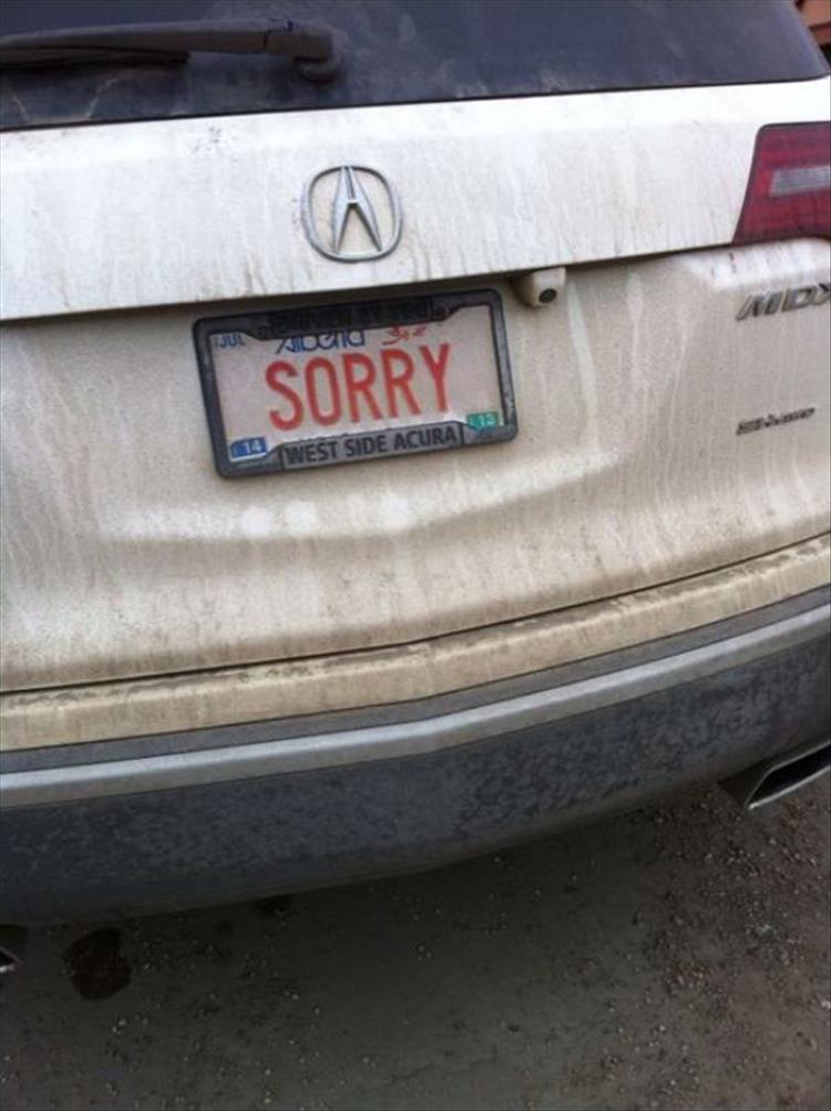 sorry license plate