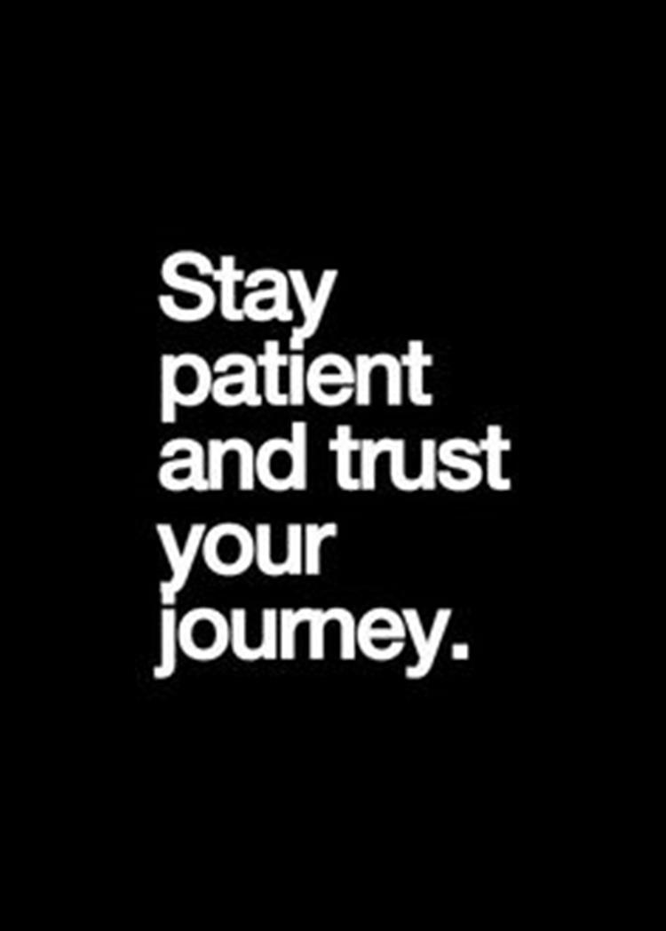 stay patient and trust your journey