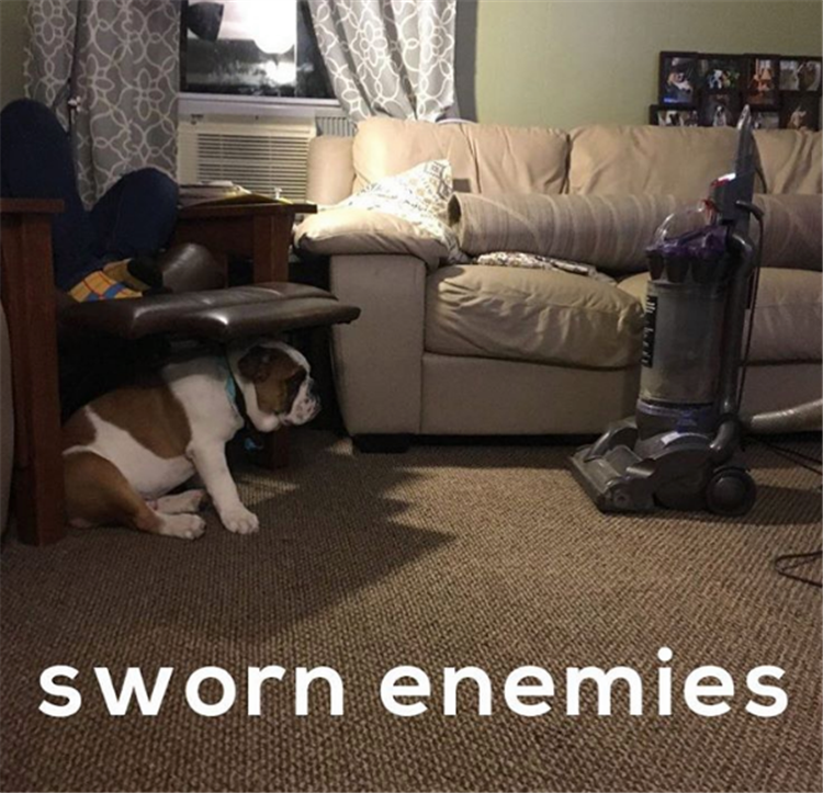 sworn enimies