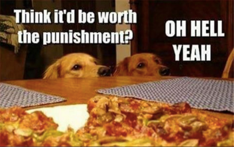 the dogs want pizza