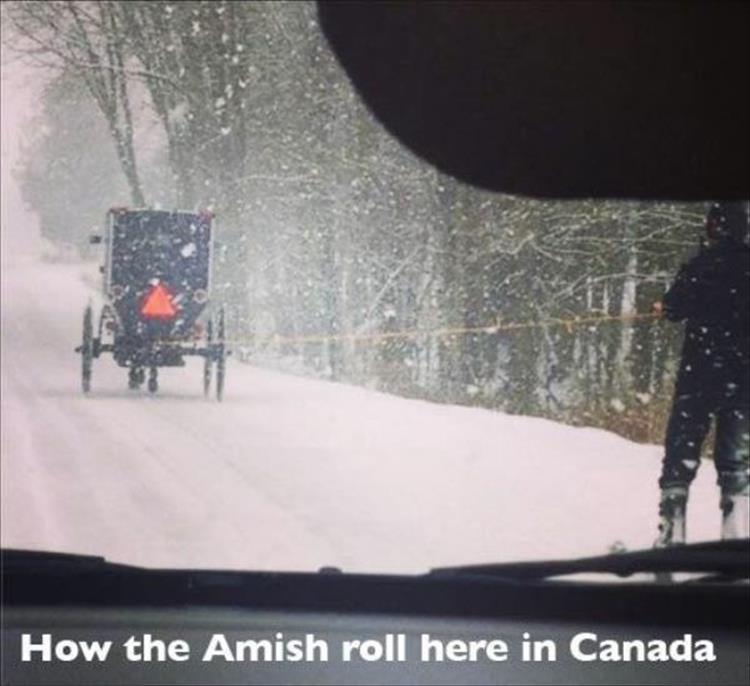 this is how the amish are in canada