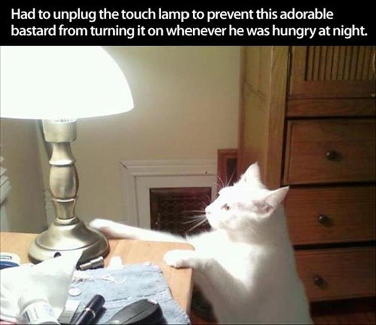 touch lamp