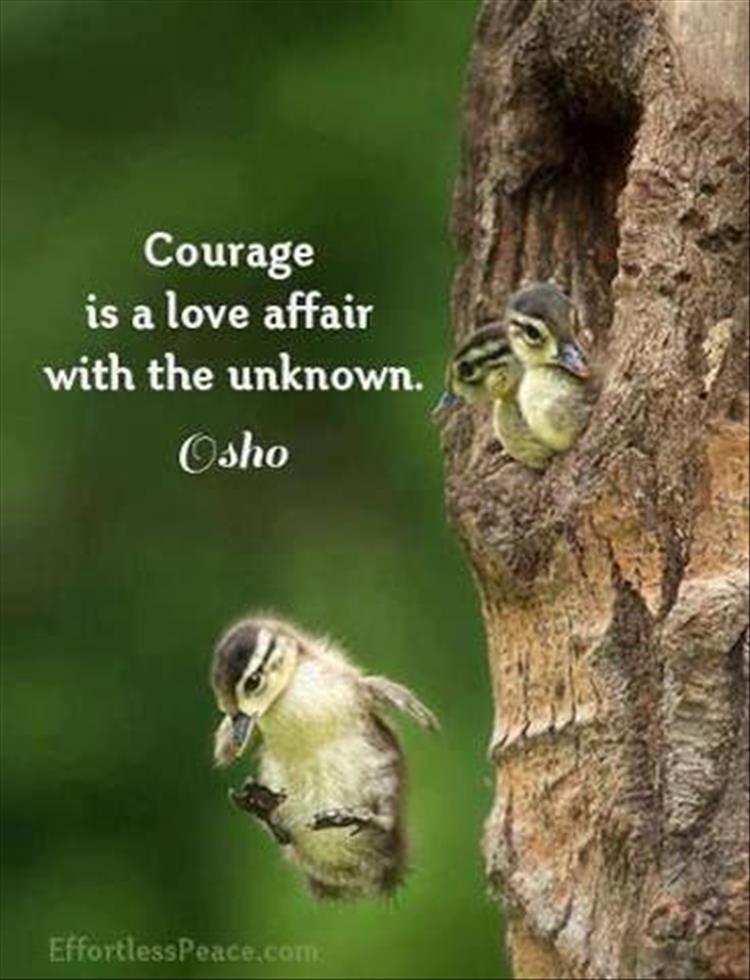 what it means to have courage