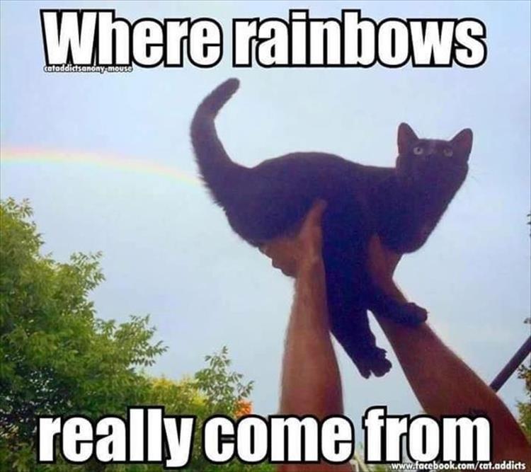 where do rainbows come from