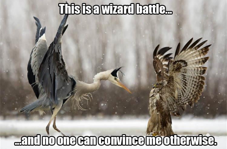 wizard battle