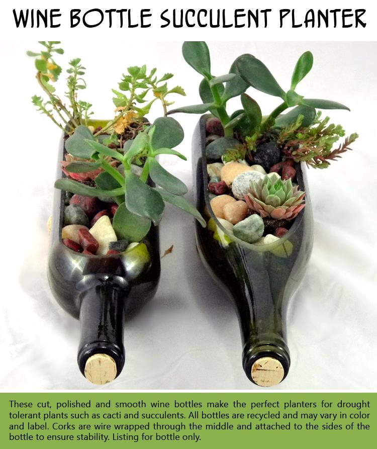 Wine Bottle Succulent Planter