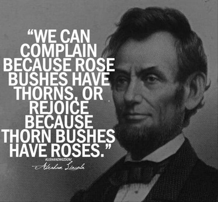 a person can complain because rose bushes have thorns, or we can be thankful thorn bushes have roses