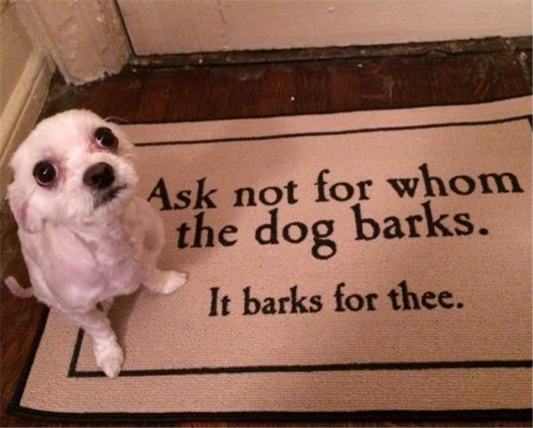 ask not for whom the dark barks he barks for thee