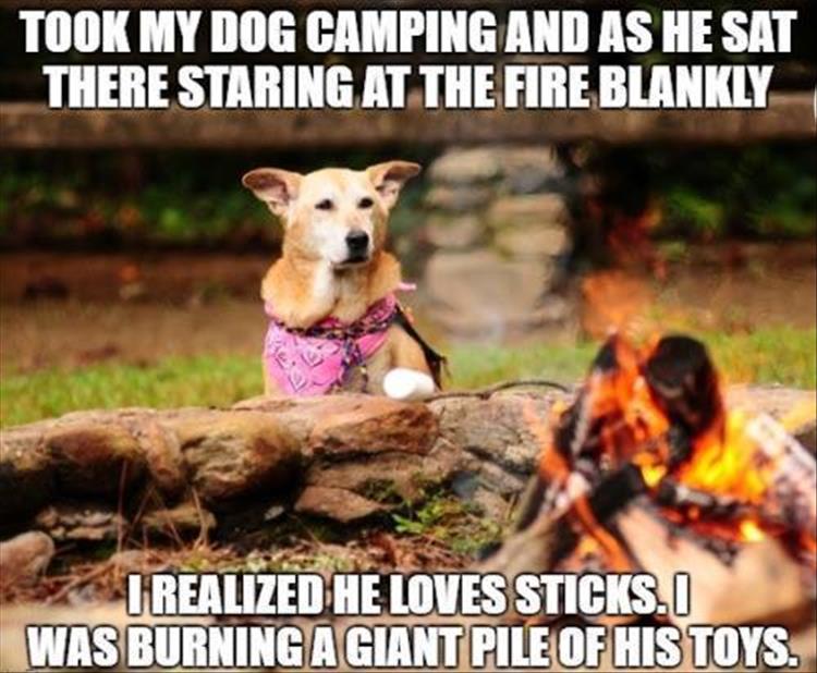 burning dog toys funny