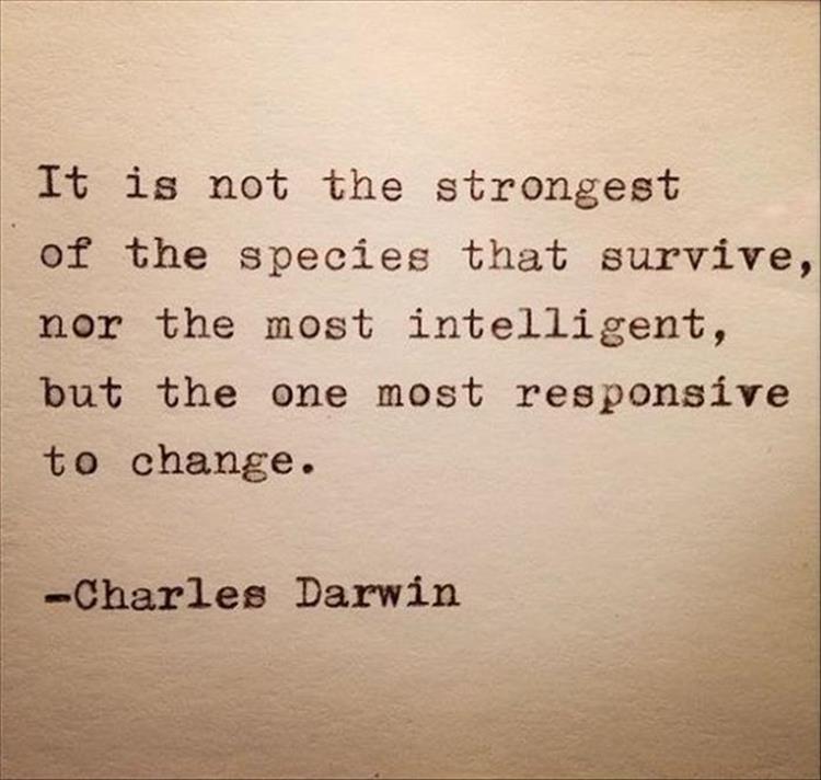 darwin quote