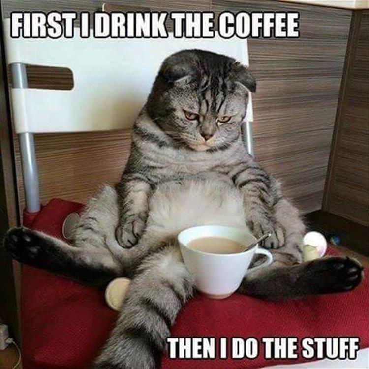 first I drink the coffee then I do the things
