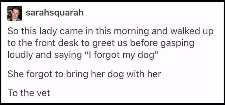 forgot my dog