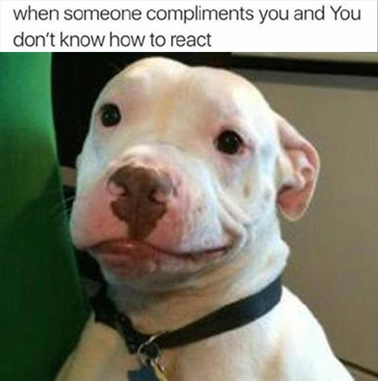 funny compliments