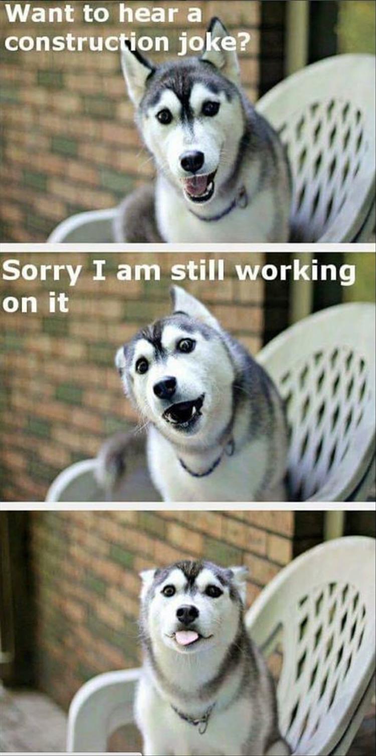 funny dog joke