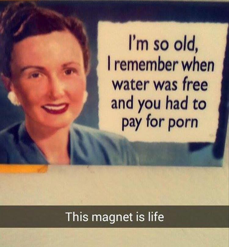 funny fridge magnets