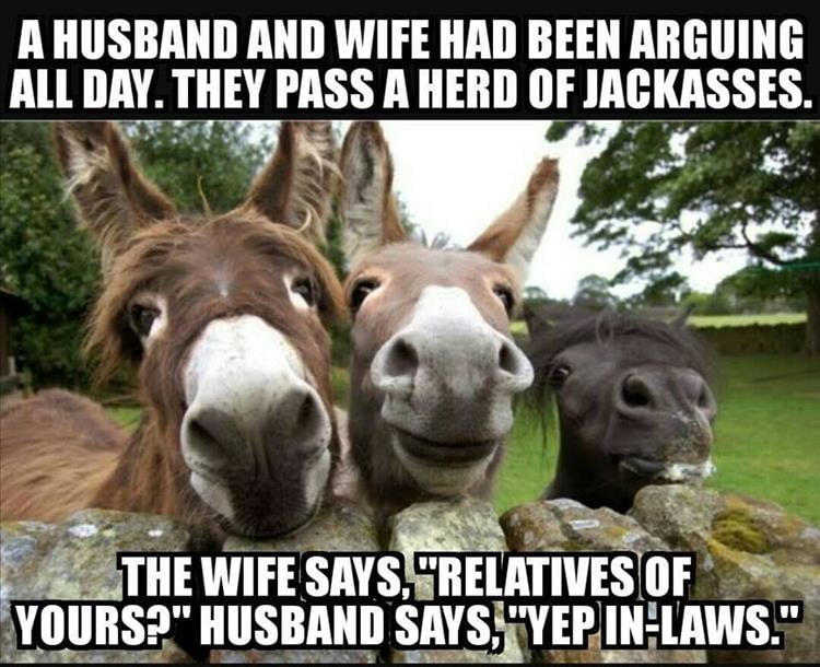 funny husband and wife