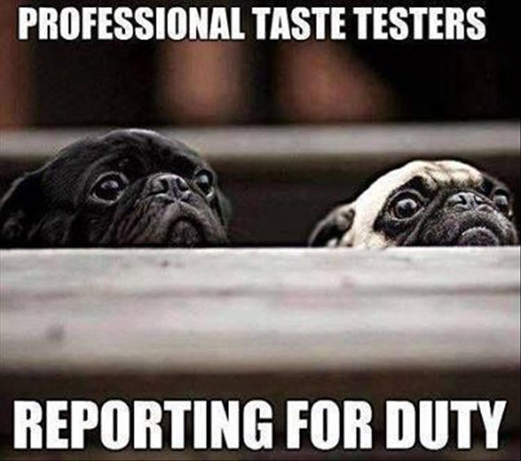 funny taste testers