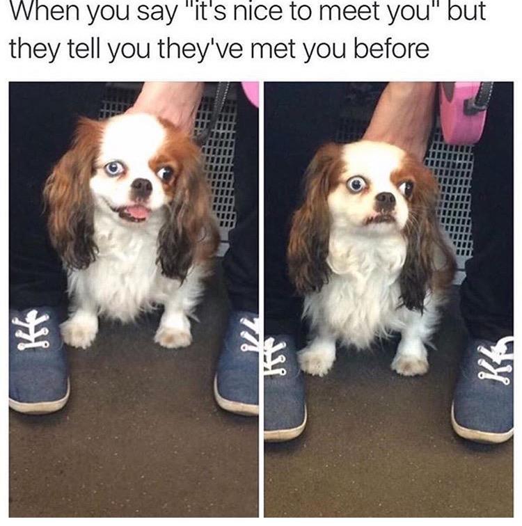 it's nice to meet you