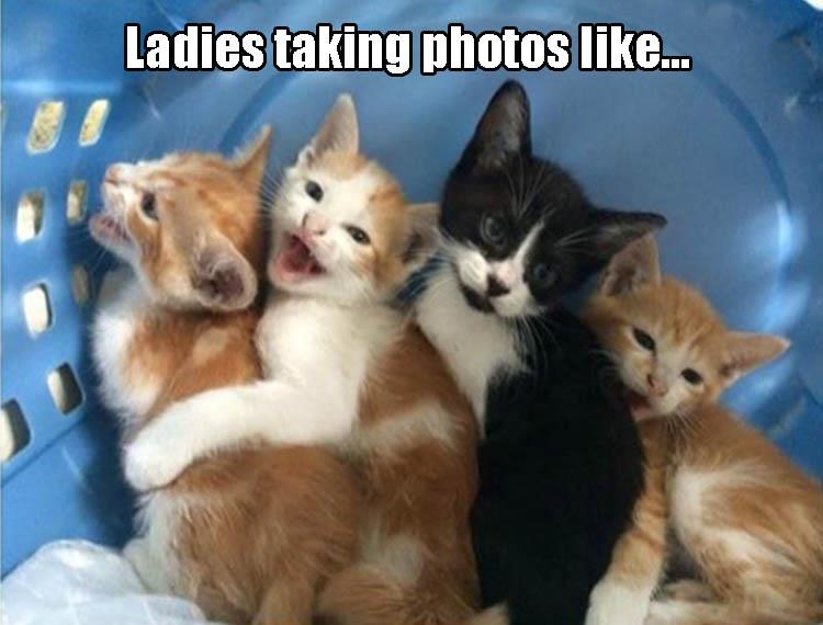 ladies taking photos