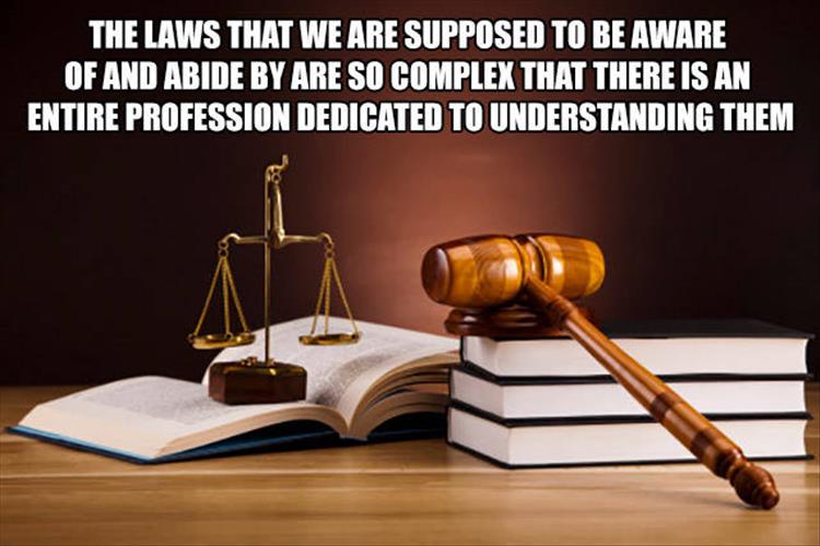 lawyers