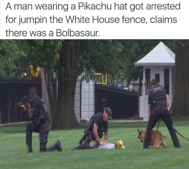 man got arrested on the white house lawn