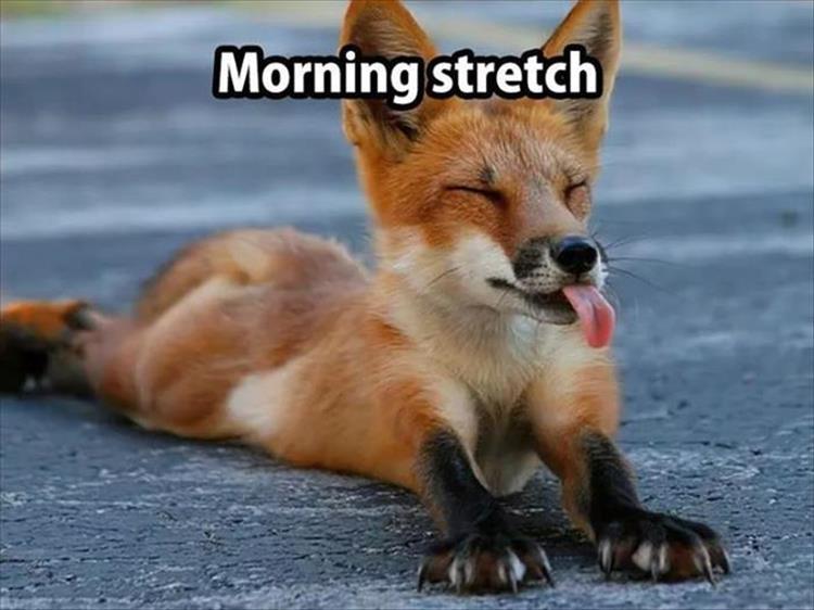 morning stretch